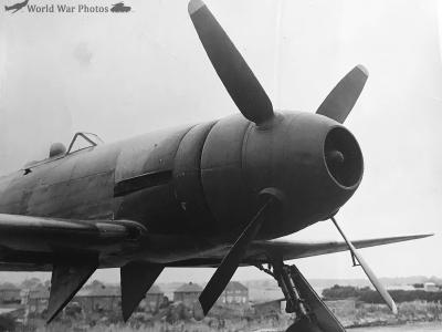 Tempest V NV768