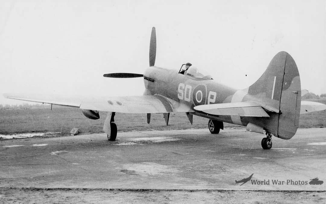 Tempest V SD-P 501 Sqn RAF