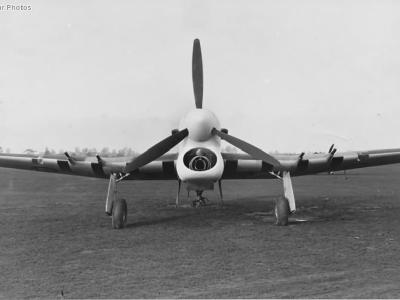 White-nosed Typhoon IB R8224