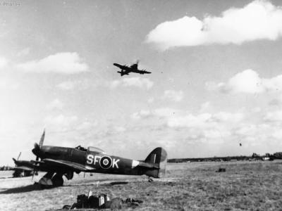Typhoon SF-K No. 137 Squadron RAF Eindhoven