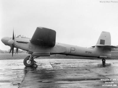 Westland Welkin