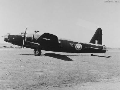 Wellington Z8772 3