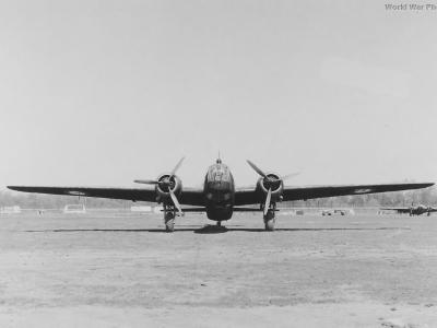 Wellington Z8772 5