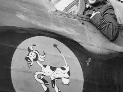 Wellington 149 Sqn nose art