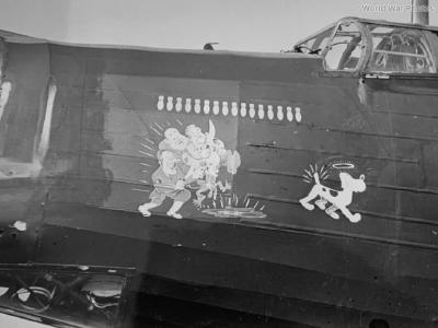 wellington with nose art