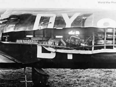 Whitley V P5005 DY-N