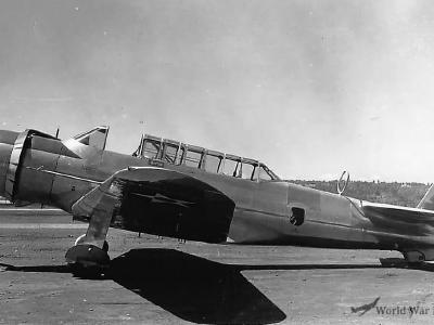 A-19