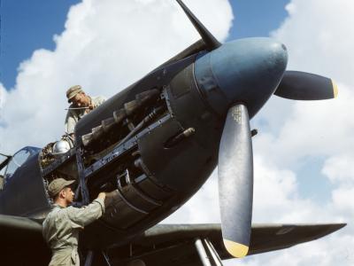 A-36 nose