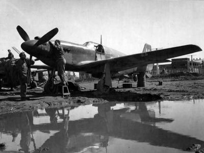 North American A-36 „M” Italy 1944