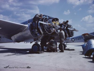 AT-10 F223