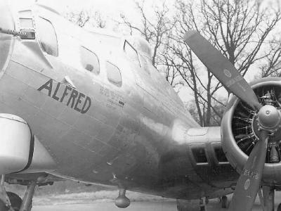 B-17 Flying Fortress Alfred