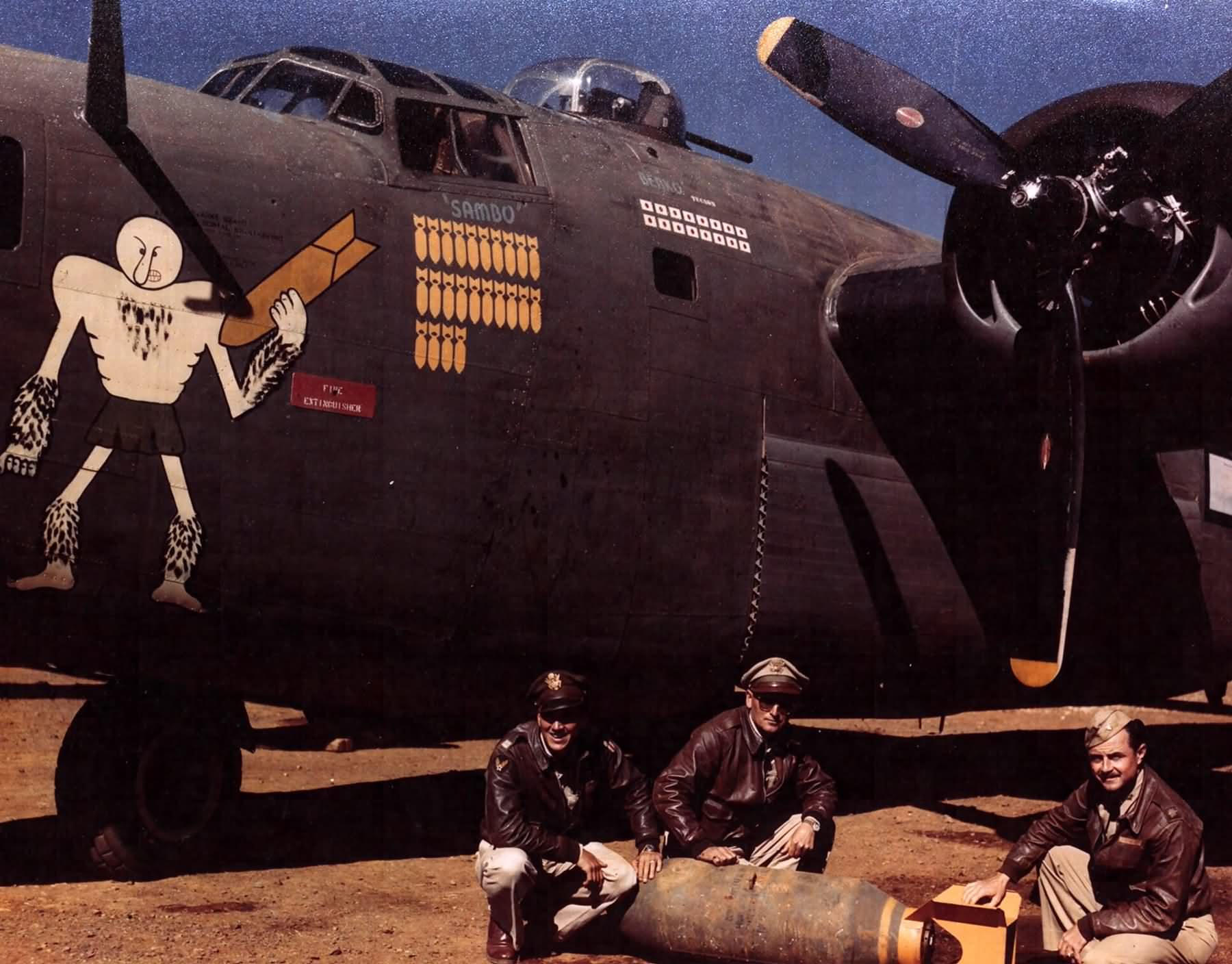 B-24D Liberator 41-24183 "The Goon" Of The 308th Bomb Group, 374th Bomb ...