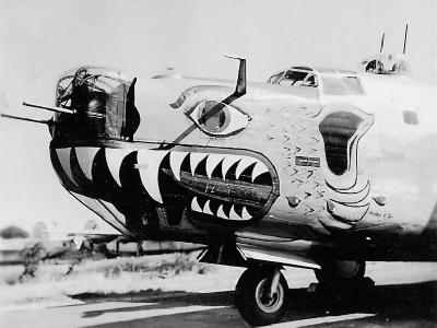 B-24 Liberator with Bird of Prey Mouth