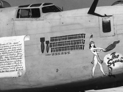 B-24D Liberator 98th Bomb Group The Squaw Nose Art