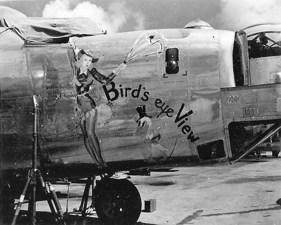 B-24 Liberator Bomber Birds Eye View Nose Art 11th Bomb Group