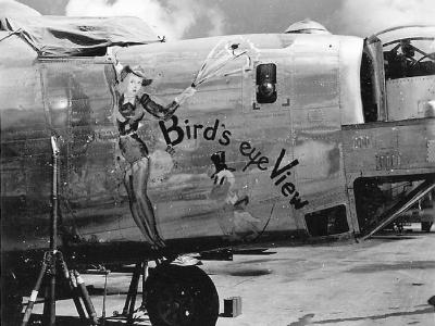 B-24 Liberator Bomber Birds Eye View Nose Art 11th Bomb Group