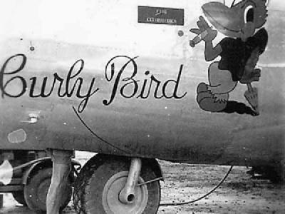 B-24 Liberator Bomber Curly Bird Nose Art 30th Bomb Group