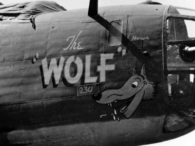 B-24 Liberator 308th Bomb Group Nose Art The Wolf
