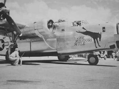 B-24 Liberator The Missouri Mule 865th Bomb Squadron 494th Bomb Group