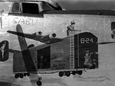 B-24 Liberator bomber Nose Art Flying Boxcar