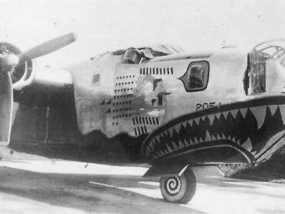 B-24 Liberator nose art Lil Butch 308th Bomb Group