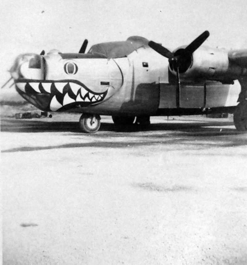 B-24 Liberator nose art Shark Jolly Rogers 90th BG