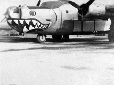 B-24 Liberator nose art Shark Jolly Rogers 90th BG