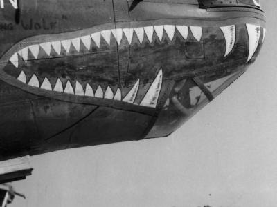 B-24 Liberator with Shark Mouth in Italy 15th Air Force 1944