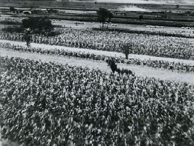 B-24 Liberators on Ploesti Raid 1943 5