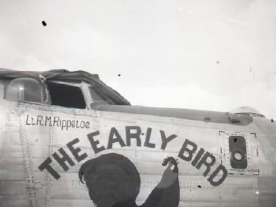 B-24 Liberator Bomber Nose Art The Early Bird Okinawa 1945 494th Bomb Group 865th Bomb Squadron