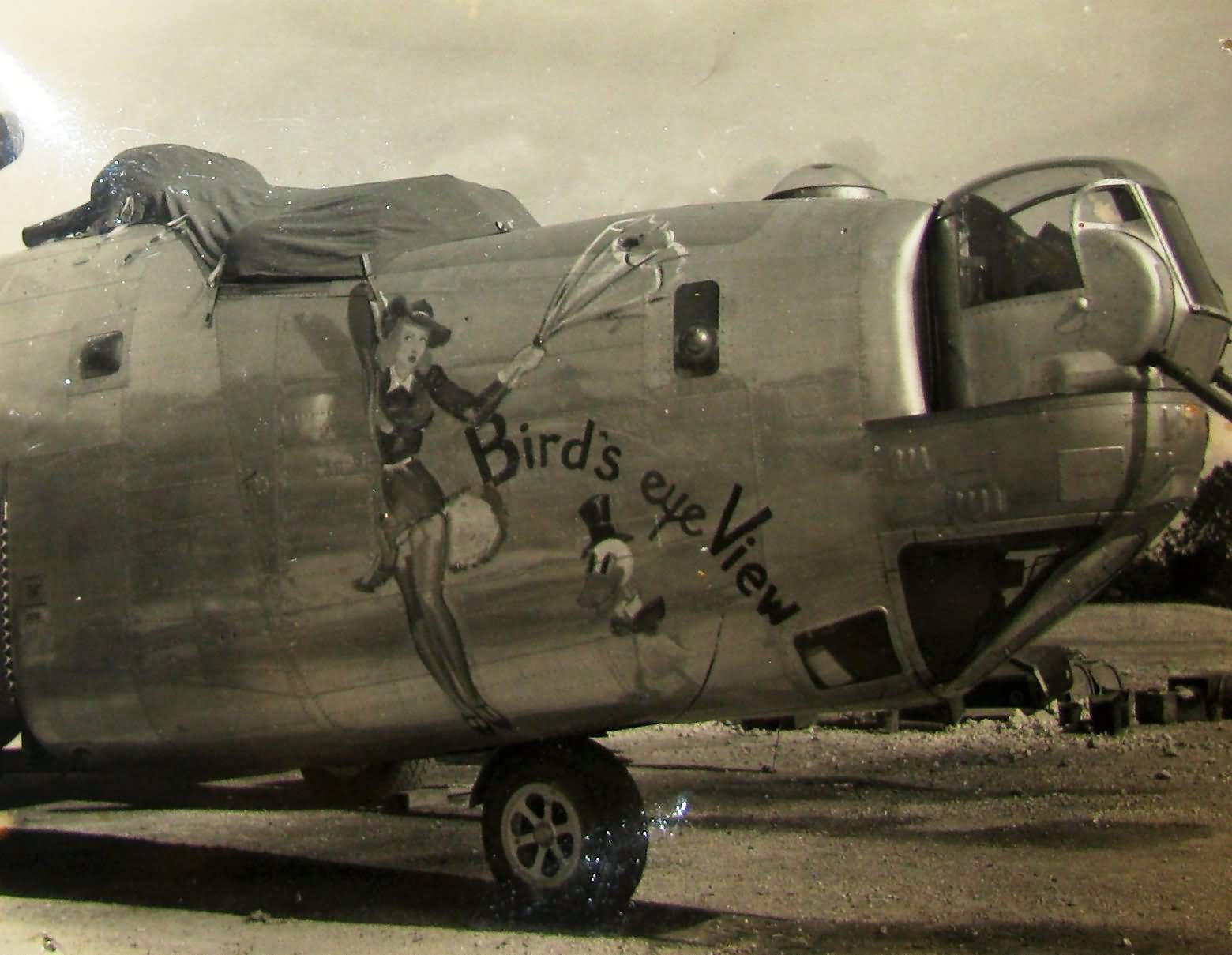 B-24 Liberator 7th Air Force Bomber Nose Art Birds Eye View