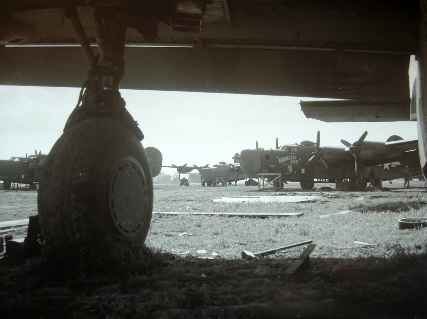 B-24 Liberator 454th Bomb Group 738th Bomb Squadron 15th AF Hairless Joe Spinazolla Italy