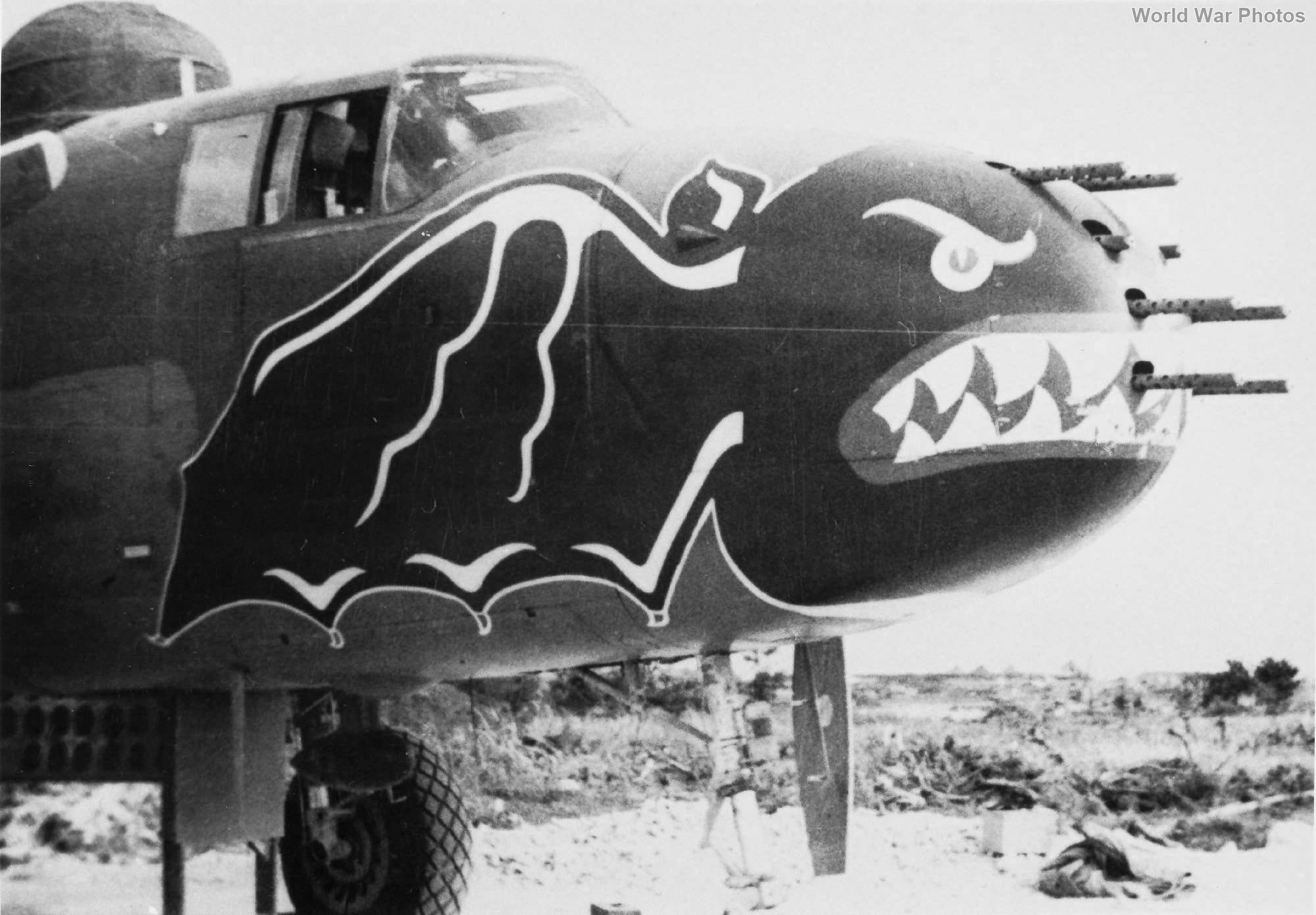 B-25J Of The 499th Bomb Squadron, 345th BG | World War Photos