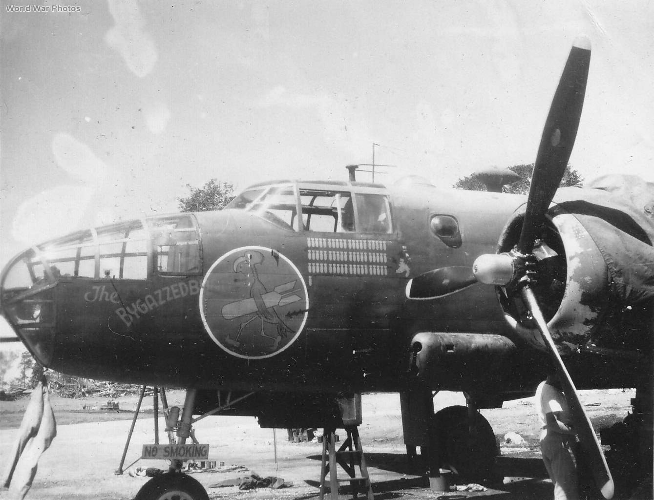 B-25 The Bygazzedbyrd Of The 345th BG | World War Photos