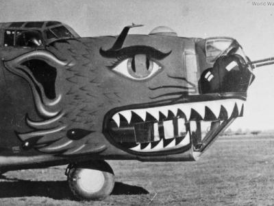 B-24 of the 448th Bomb Group