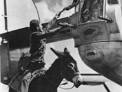 Mail Clerk of 15th AF delivers mail on Donkey 1944