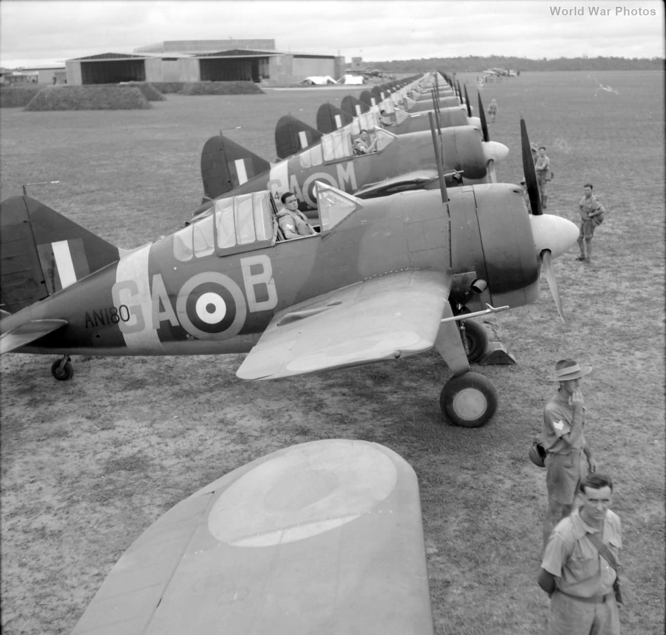 Brewster Buffalo 21 Sqn RAAF Singapore