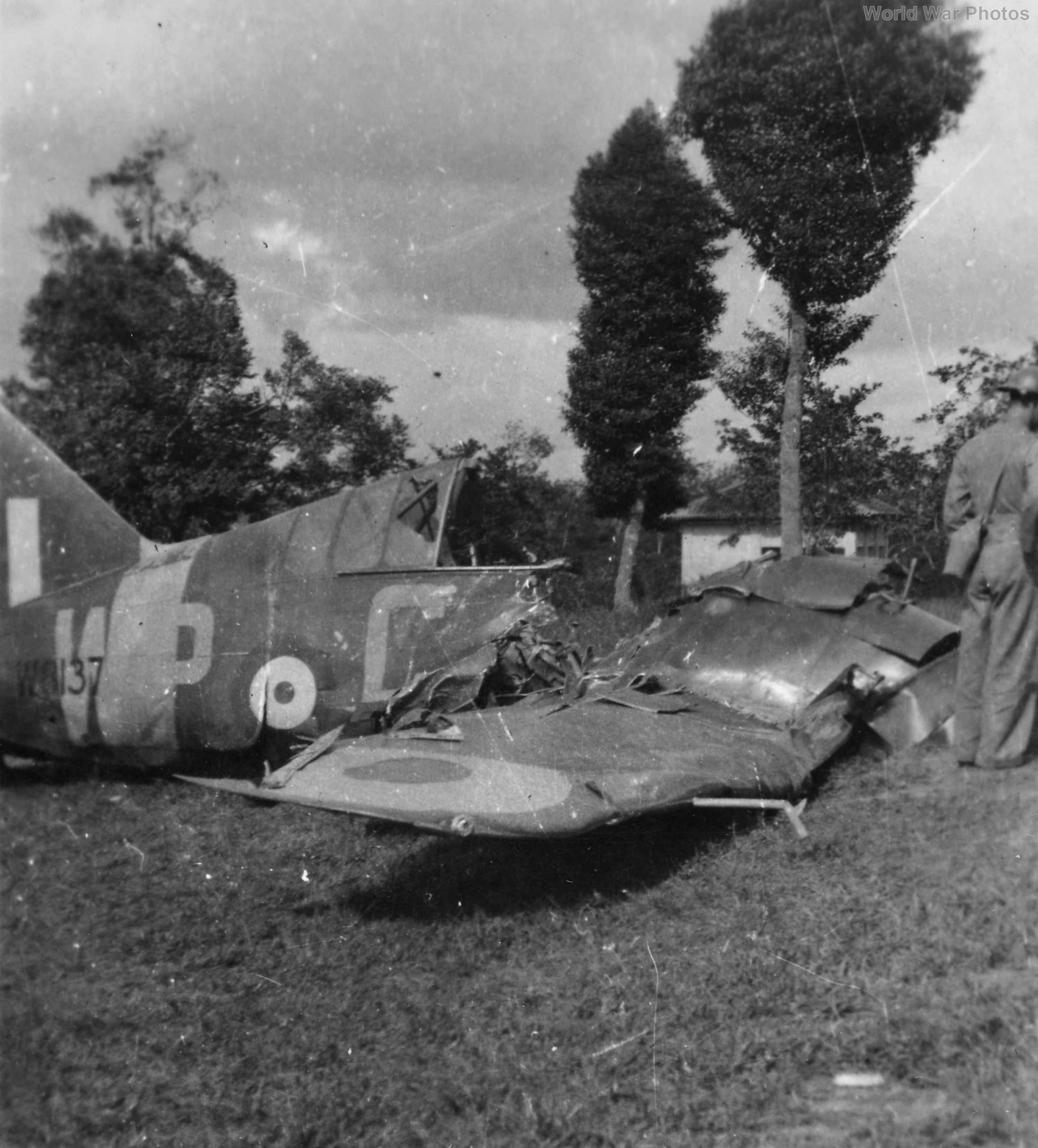 243 Squadron Brewster Buffalo