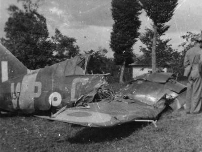 243 Squadron Brewster Buffalo