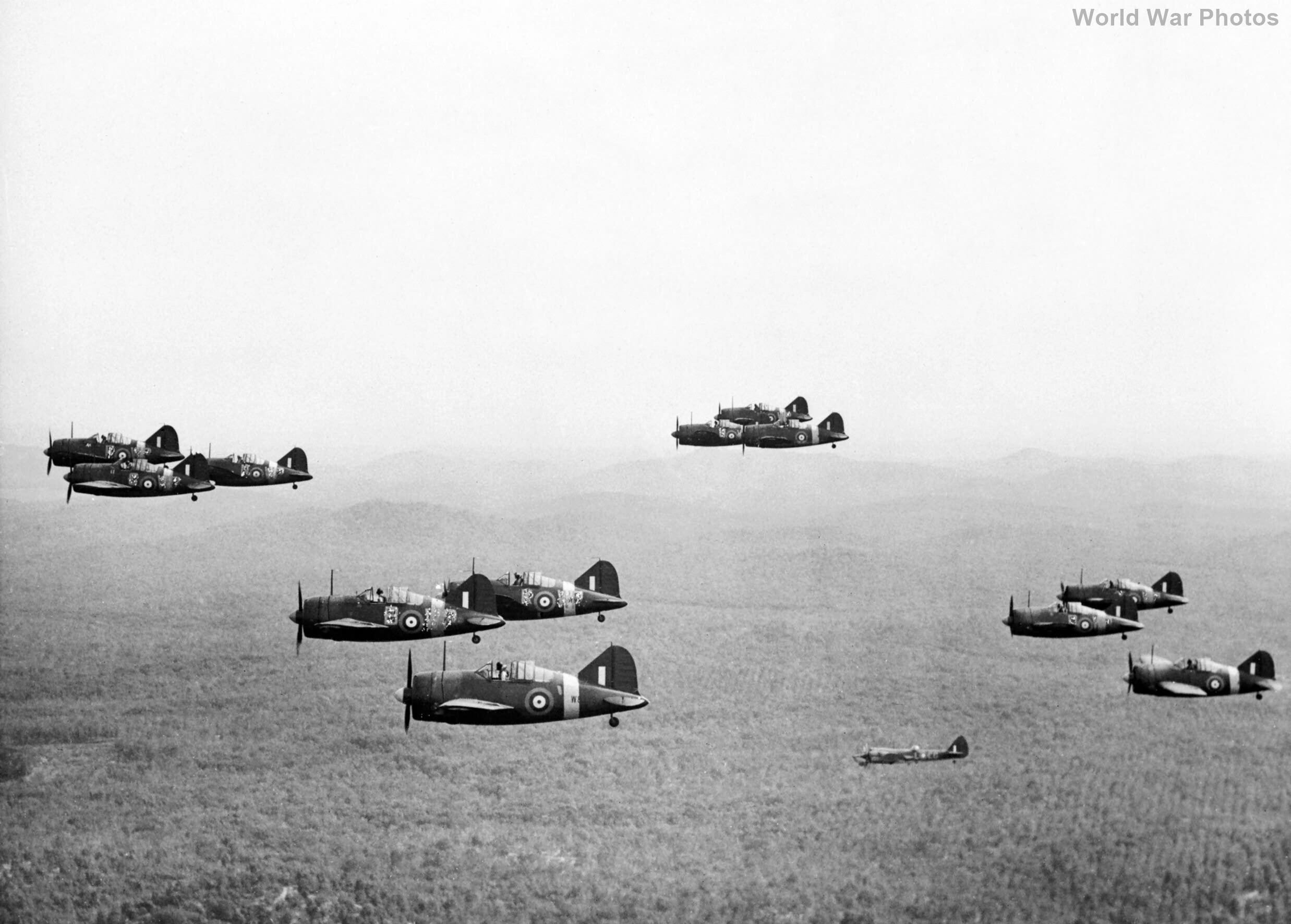Buffalos 243 Squadron RAF