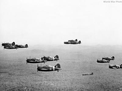 Buffalos 243 Squadron RAF