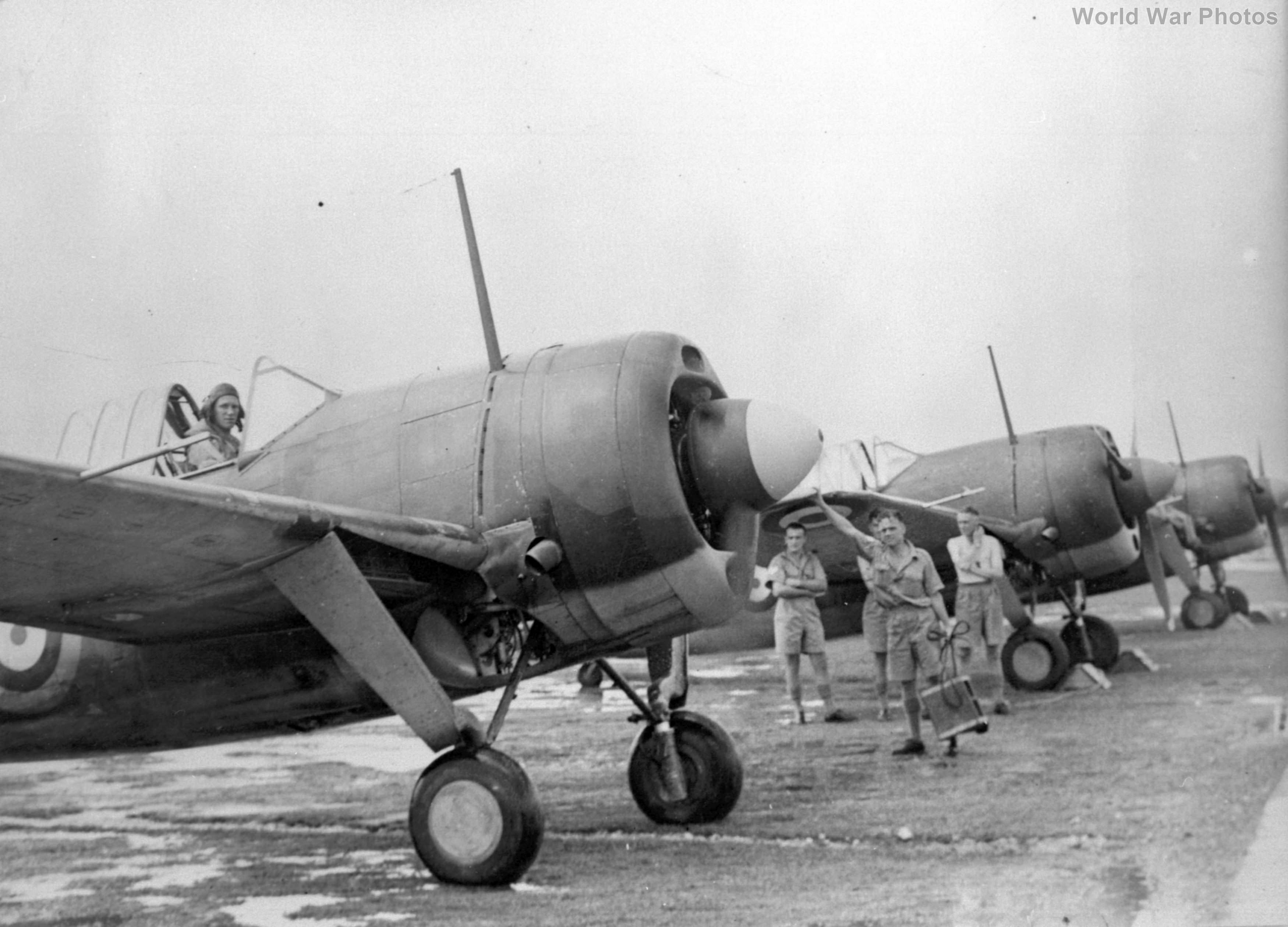 Buffalo Mk I AN198