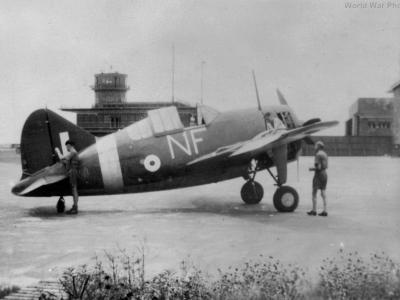 488 Squadron Brewster Buffalo Kallang