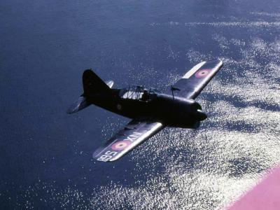 B-339 Belgium 2