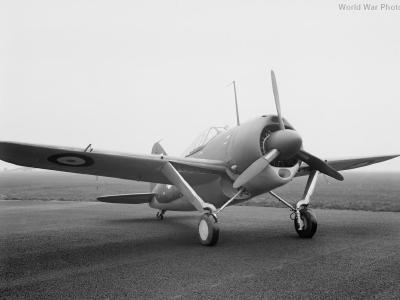 Brewster Buffalo AS426