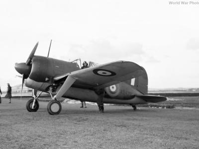 Brewster Buffalo AS426