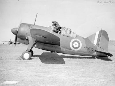 Brewster Buffalo AS430