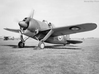Brewster Buffalo AS430