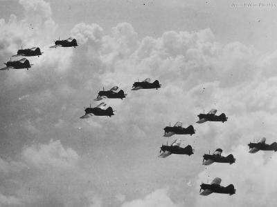 Buffalos Flying in Formation Over Malaya