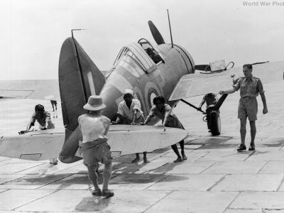 Brewster Buffalo of 488 Sqn